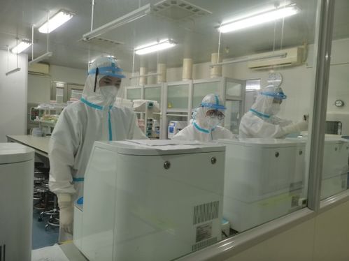 探訪 鄭州市核酸檢測結(jié)果如何準確快速出爐